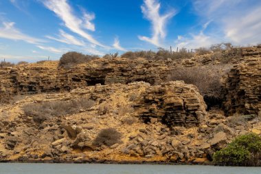 Punta Gallinas 'ta kaktüs manzarası ve mavi gökyüzü. Guajira, Kolombiya. 