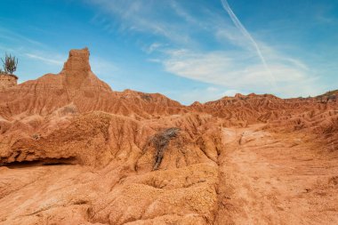 Jeolojik oluşumları ve Kızıl Çölde yeşil kaktüsleri olan doğal manzara. Huila, Kolombiya.