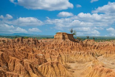 Jeolojik oluşumları ve Kızıl Çölde yeşil kaktüsleri olan doğal manzara. Huila, Kolombiya.