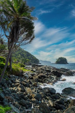 Hornbill sahilindeki bir tekneden manzara. San Antero, Kolombiya. 