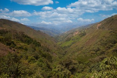 Antioquia 'daki El Toyo-Caas Gordas; Kolombiya. 