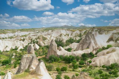 Büyük taşlardan ve ağaçlardan oluşan kapadokya manzarası. Türkiye. 
