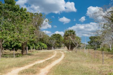 Deniz kıyısında ve taş çıkıntısında bir tekne. San Bernardo, Bolivar, Kolombiya. 