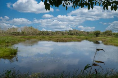 Deniz kıyısında ve taş çıkıntısında bir tekne. San Bernardo, Bolivar, Kolombiya. 