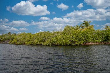 Deniz kıyısında ve taş çıkıntısında bir tekne. San Bernardo, Bolivar, Kolombiya. 