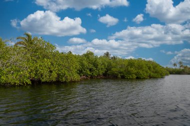 Deniz kıyısında ve taş çıkıntısında bir tekne. San Bernardo, Bolivar, Kolombiya. 