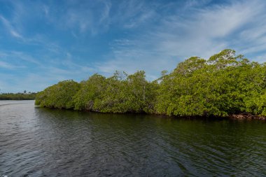 Deniz kıyısında ve taş çıkıntısında bir tekne. San Bernardo, Bolivar, Kolombiya. 