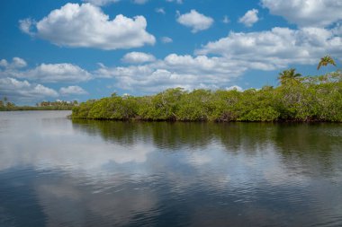 Deniz kıyısında ve taş çıkıntısında bir tekne. San Bernardo, Bolivar, Kolombiya. 