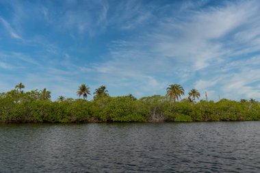 Deniz kıyısında ve taş çıkıntısında bir tekne. San Bernardo, Bolivar, Kolombiya. 
