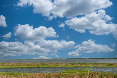 Tesca bataklığı manzaralı manzara. Santa Marta Kolombiya.