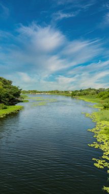Bolivar, Kolombiya 'daki Totumo bataklığı manzaralı doğal manzara..