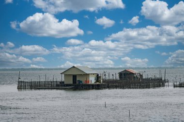 Magdalena bataklığına bakan mavi gökyüzü manzarası. Kolombiya.