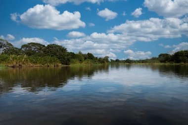 Tayrona Ulusal Parkı 'nın mavi gökyüzü manzaralı plajları. Santa Marta Kolombiya.