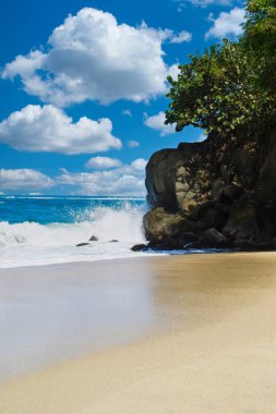 Tayrona Ulusal Parkı 'nın mavi gökyüzü manzaralı plajları. Santa Marta Kolombiya.