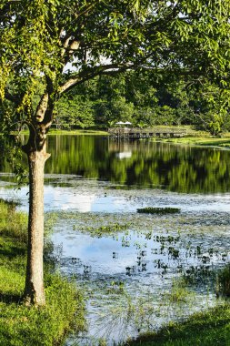 Gökyüzünün güzel manzarası nehir suyuna yansıyor. Kolombiya.