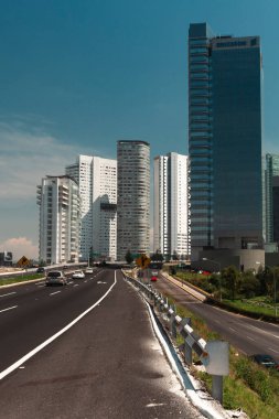 Meksika DF, Meksika. 24 Aralık 2008: Reform Yürüyüşü