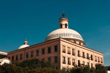 Meksika DF, Meksika. 24 Aralık 2008: Reform Yürüyüşü