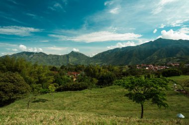 Ağacın manzarası ve Tamesis, Antioquia, Kolombiya 'daki dağların manzarası.