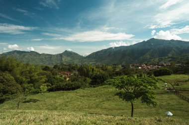 Ağacın manzarası ve Tamesis, Antioquia, Kolombiya 'daki dağların manzarası.