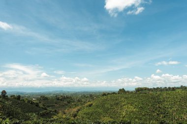 Quindio, Ermenistan, Kolombiya. 15 Haziran 2010: Quimbaya Manzarası