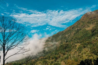 Sis ve mavi gökyüzü olan kırsal alan. Antioquia, Kolombiya.