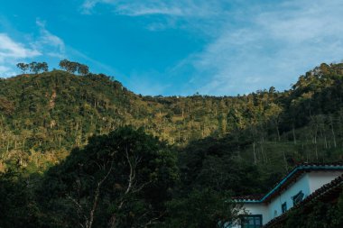 Sis ve mavi gökyüzü olan kırsal alan. Antioquia, Kolombiya.