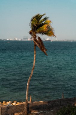 Tierra Bomba Adası 'ndan Bocagrande manzarası. Cartagena, Bolivar.