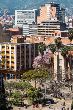 Medellin, Antioquia, Kolombiya. 17 Ocak 2024: Antioquia Müzesi ve palmiye ağaçları.
