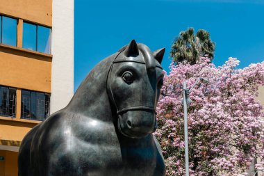 Medellin, Antioquia, Kolombiya. 17 Ocak 2024: Fernando Botero 'nun bir at heykeli ve bir Tabebuia gül ağacı