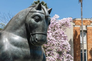 Medellin, Antioquia, Kolombiya. 17 Ocak 2024: Fernando Botero 'nun bir at heykeli ve bir Tabebuia gül ağacı