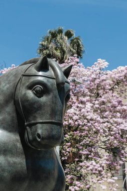 Medellin, Antioquia, Kolombiya. 17 Ocak 2024: Fernando Botero 'nun bir at heykeli ve bir Tabebuia gül ağacı