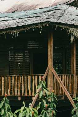 Amazon oteli ormanın ortasında. Amazon.