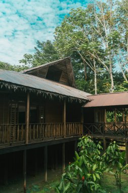 Amazon oteli ormanın ortasında. Amazon.