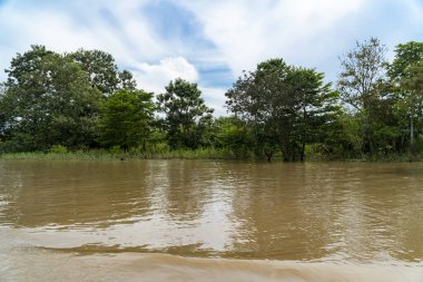 Amazon nehri ve mavi gökyüzündeki manzara portreleri. Amazonlar. 