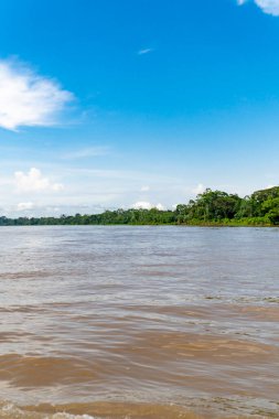 Amazon nehri ve mavi gökyüzündeki manzara portreleri. Amazonlar. 