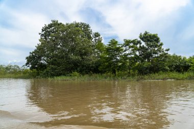Amazon nehri ve mavi gökyüzündeki manzara portreleri. Amazonlar. 