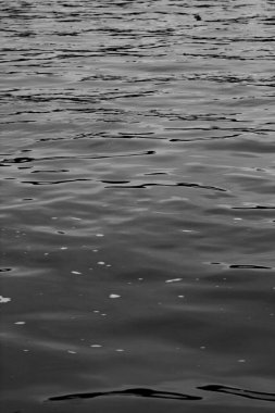 Amazon nehir su dokusunun siyah beyaz arkaplanı.