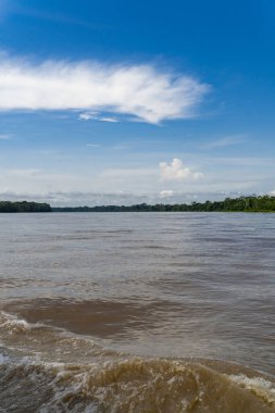 Amazon nehri ve mavi gökyüzündeki manzara portreleri. Amazonlar. 