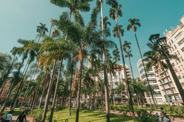 Cali, Santiago de Cali, Valle del Cauca, Kolombiya. 27 Şubat 2011: Mimari ve palmiye ağaçlı Caicedo Meydanı.