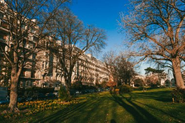 France, Western Europe. March 24, 2011: Architecture and beautiful widow's trees in Paris. clipart