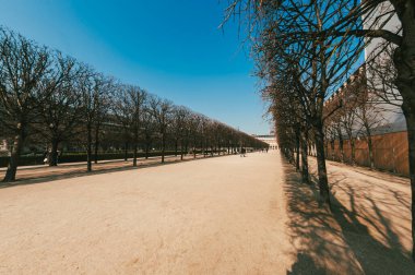 Fransa, Batı Avrupa. 24 Mart 2011: Kraliyet Sarayı Bahçeleri, Paris