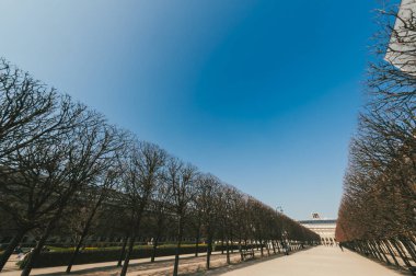 France, Western Europe. March 24, 2011: Gardens of the Royal Palace, Paris clipart