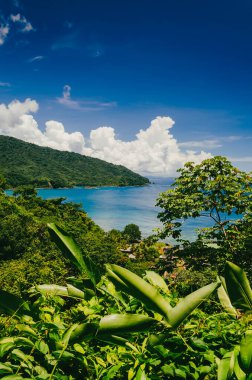 Panoramica Körfezi de la Miel, Panama, Orta Amerika