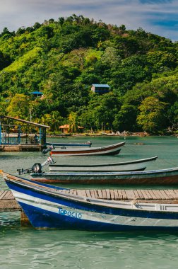 Sapzurro, Zapzurro, Uraba Körfezi, Choco, Acandi, Kolombiya