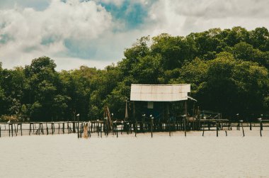 Cispata Körfezi 'nde mavi gökyüzü olan güzel mangrovlar. San Antero, Kolombiya. 