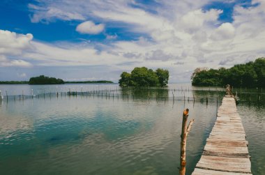 Cispata Körfezi 'nde mavi gökyüzü olan güzel mangrovlar. San Antero, Kolombiya. 