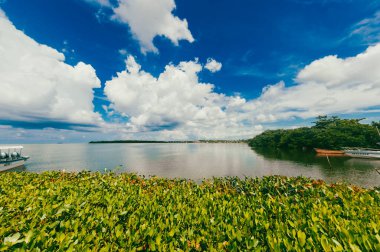 Cispata Körfezi 'nde mavi gökyüzü olan güzel mangrovlar. San Antero, Kolombiya. 