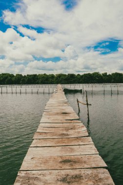 Cispata Körfezi 'nde mavi gökyüzü olan güzel mangrovlar. San Antero, Kolombiya. 