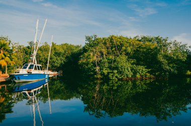 Mangrove, Kolombiya, San Antero, Cordoba 'da.