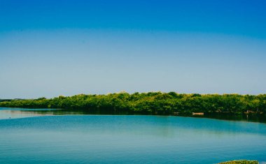 San Antero, Kolombiya 'da güzel plaj ve yaz manzarası